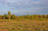 Кордонная балка, image of landscape/habitat.