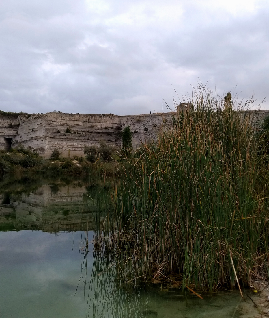 Каламита, изображение ландшафта.