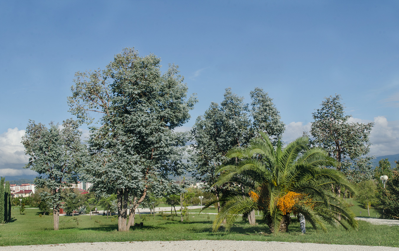 Орнитопарк. Адлер, image of landscape/habitat.