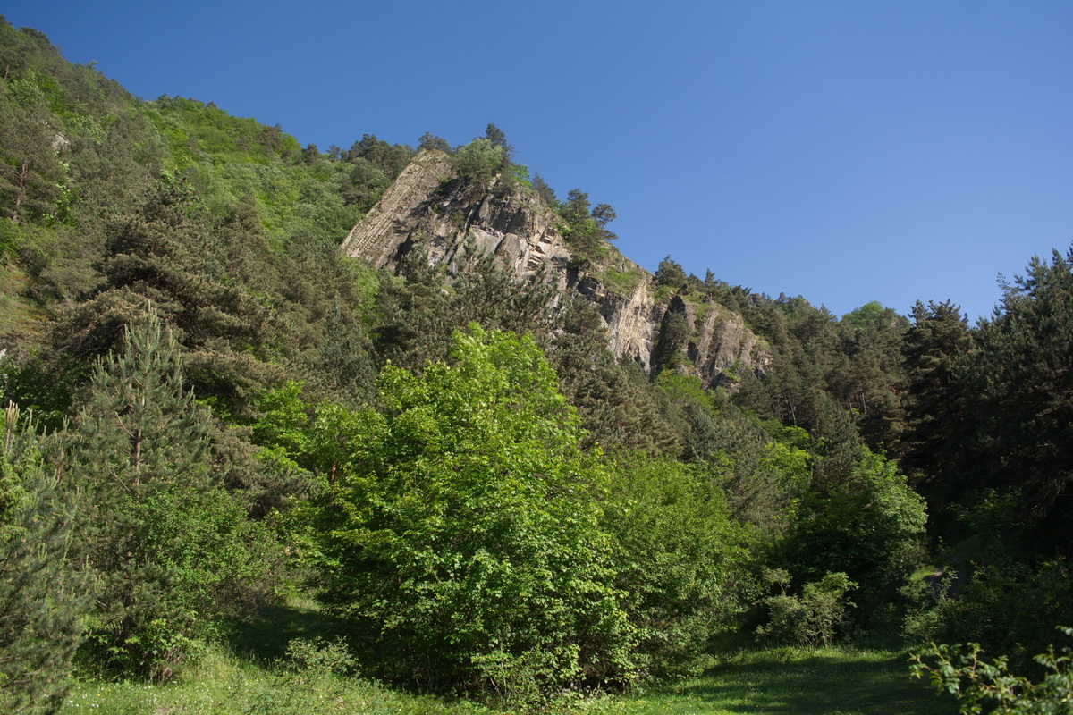 Окрестности села Хрюг, image of landscape/habitat.