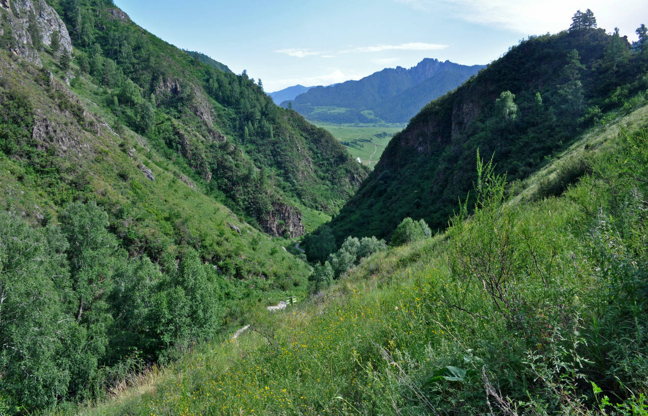 Урочище Чечкыш, изображение ландшафта.