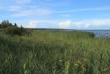 Image of landscape