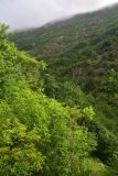 Image of landscape