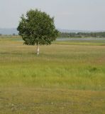 Image of landscape
