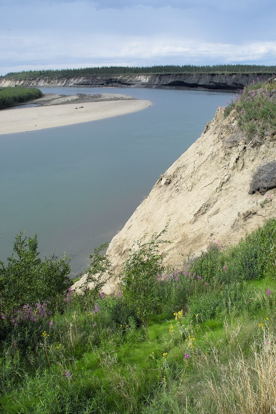 Малый Анюй, image of landscape/habitat.