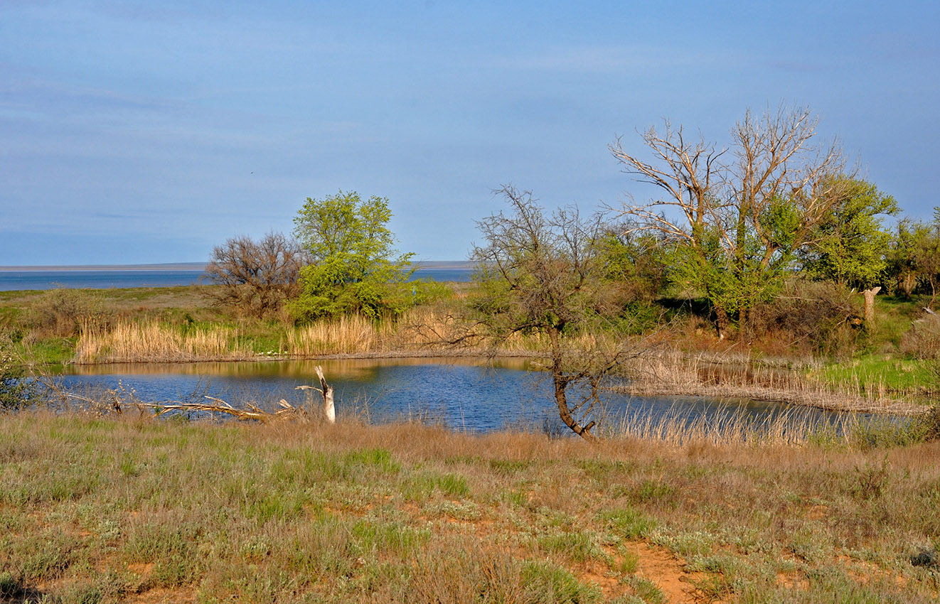 Кордонная балка, image of landscape/habitat.