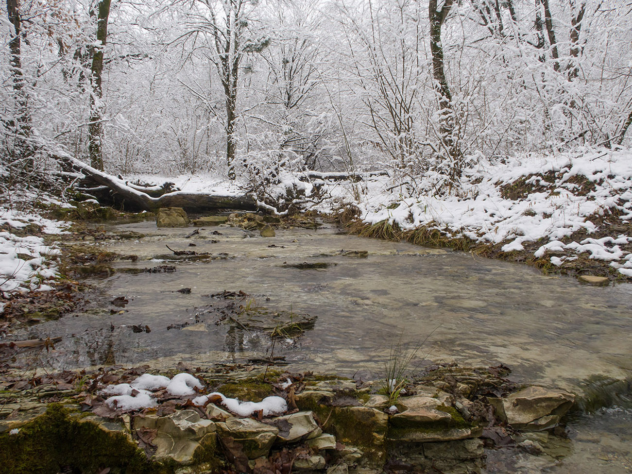 Темрючки, image of landscape/habitat.