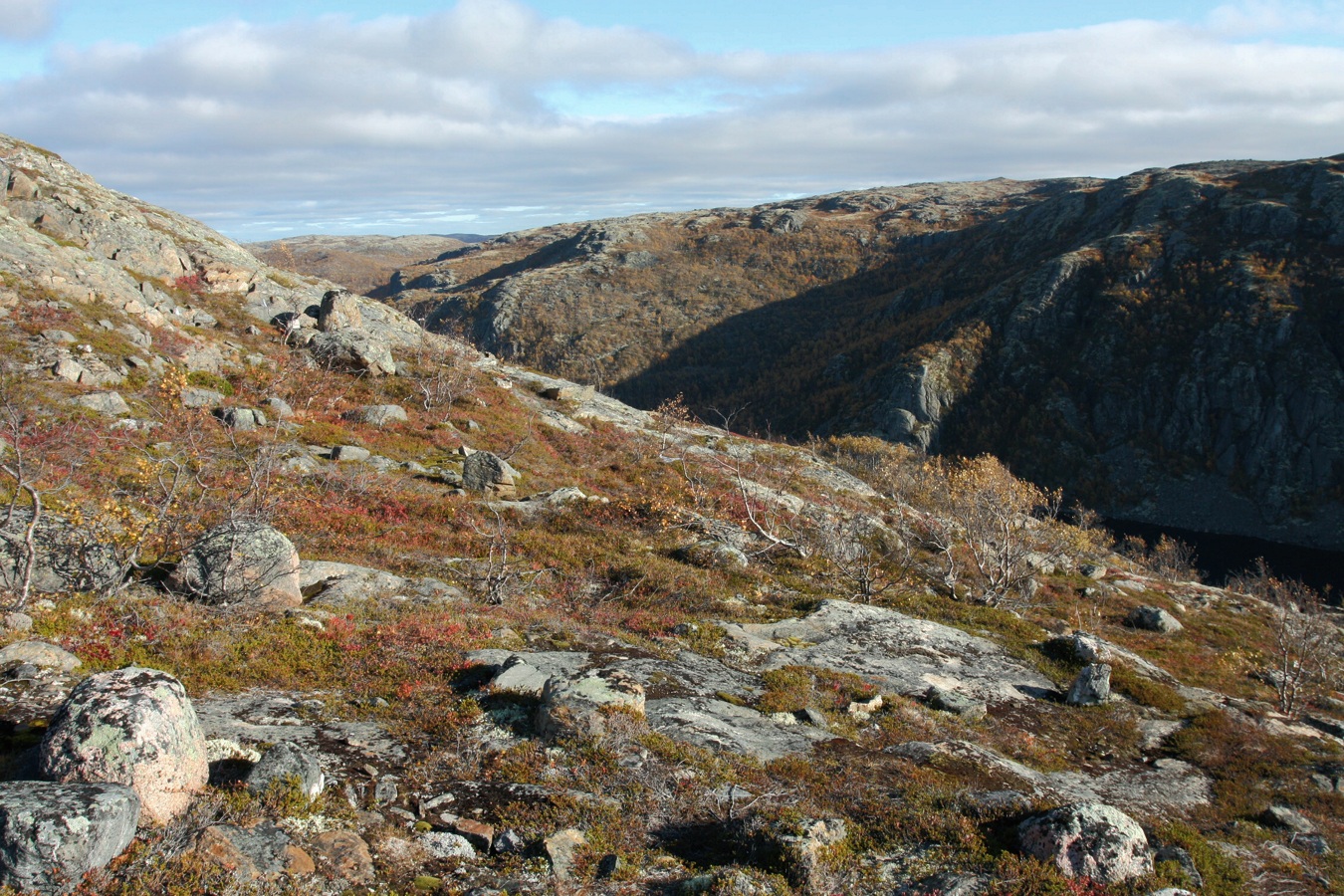 Высота 314.9, image of landscape/habitat.