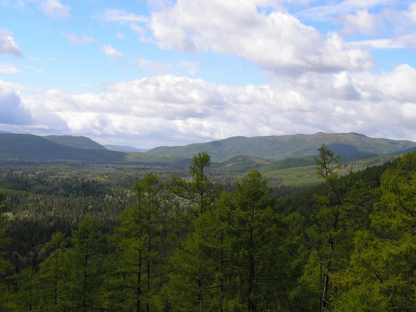 Тумнин, image of landscape/habitat.