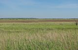 Image of landscape