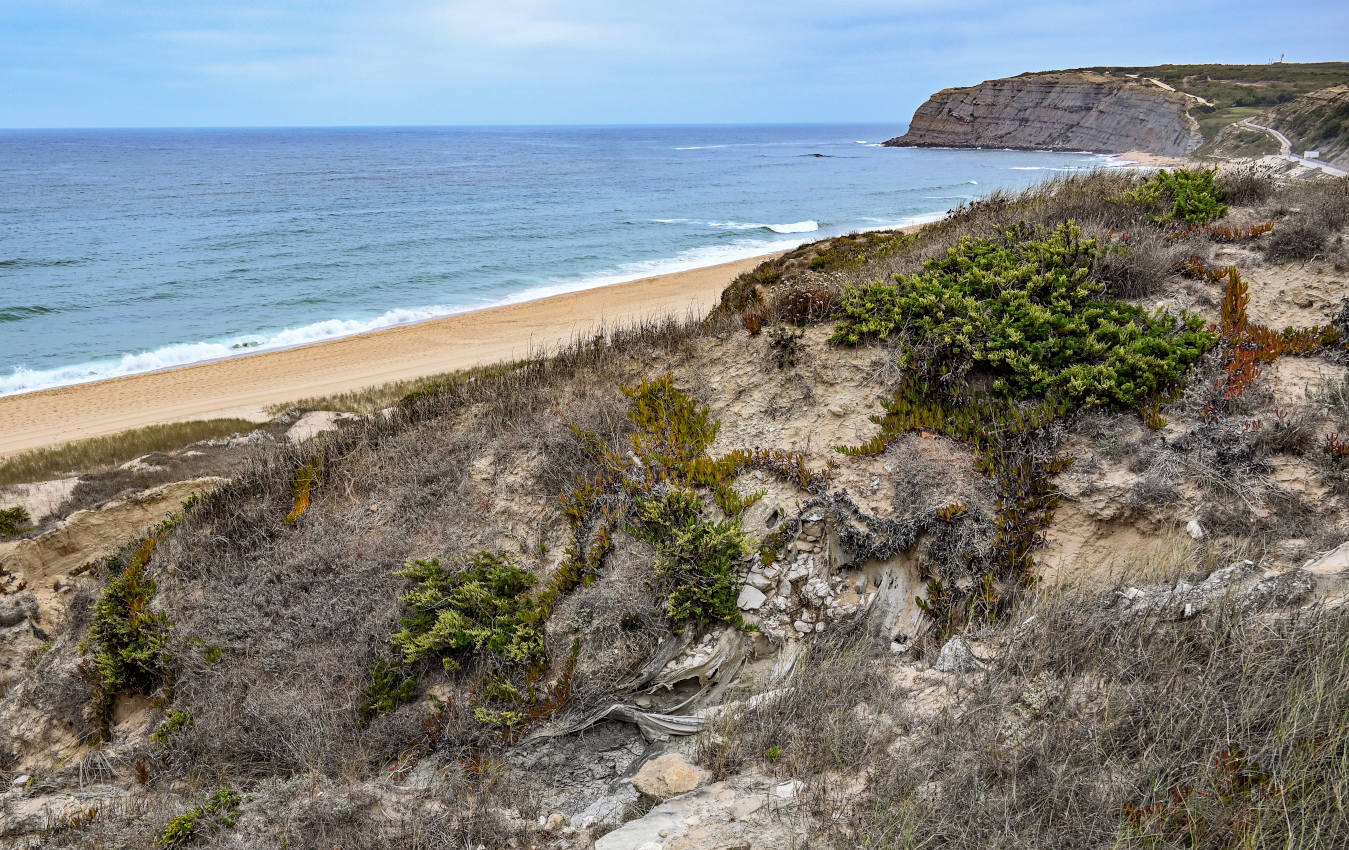 Устье реки Сизандру, изображение ландшафта.