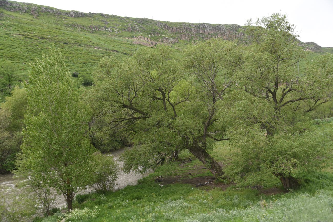 Пороховой склад, изображение ландшафта.