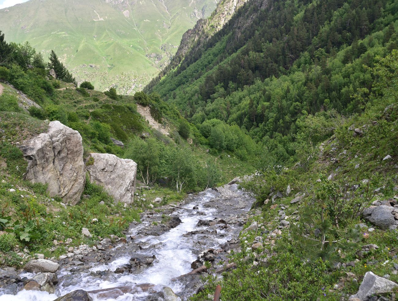 Долина реки Шхельда, image of landscape/habitat.