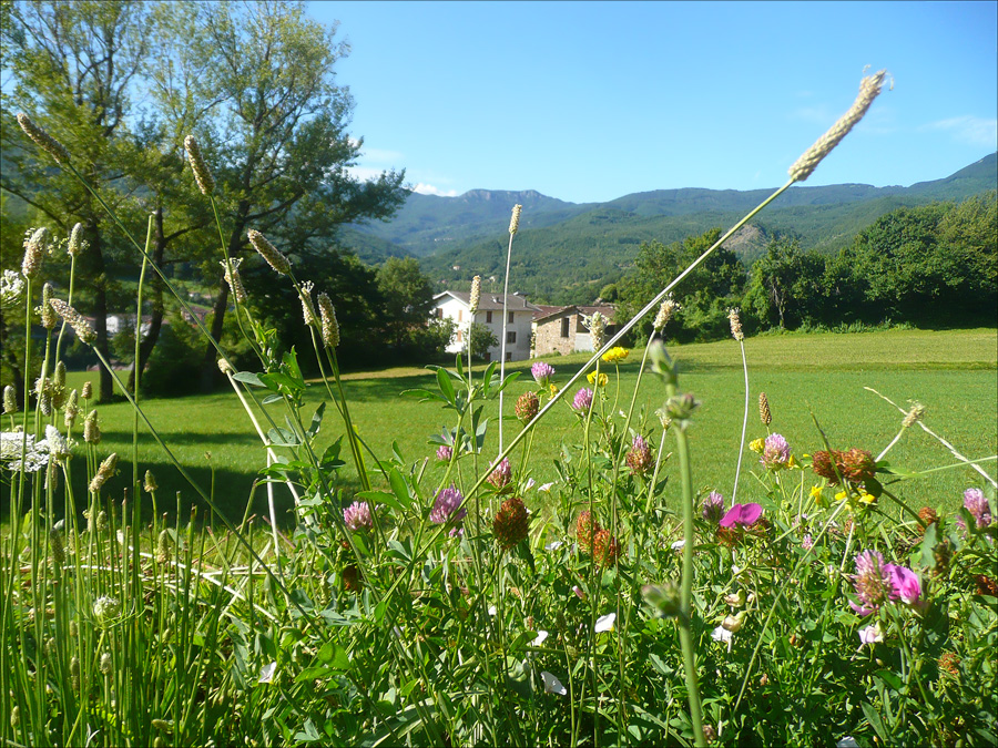 Феррьере, image of landscape/habitat.