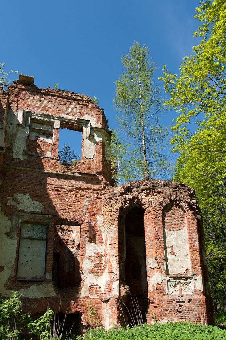 Гостилицы, image of landscape/habitat.