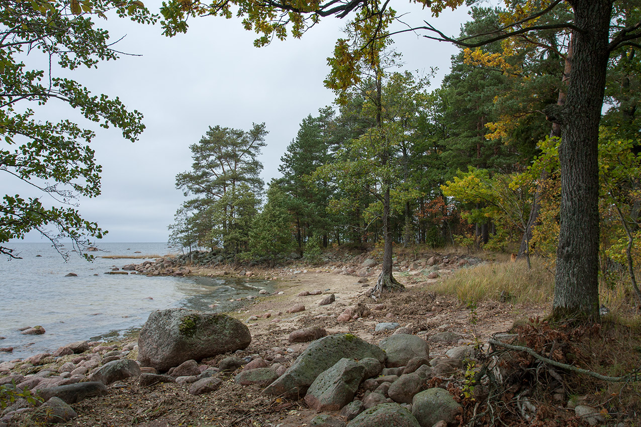 Мыс Дубовский, image of landscape/habitat.