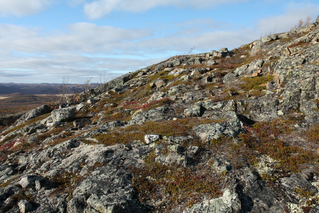 Высота 314.9, image of landscape/habitat.