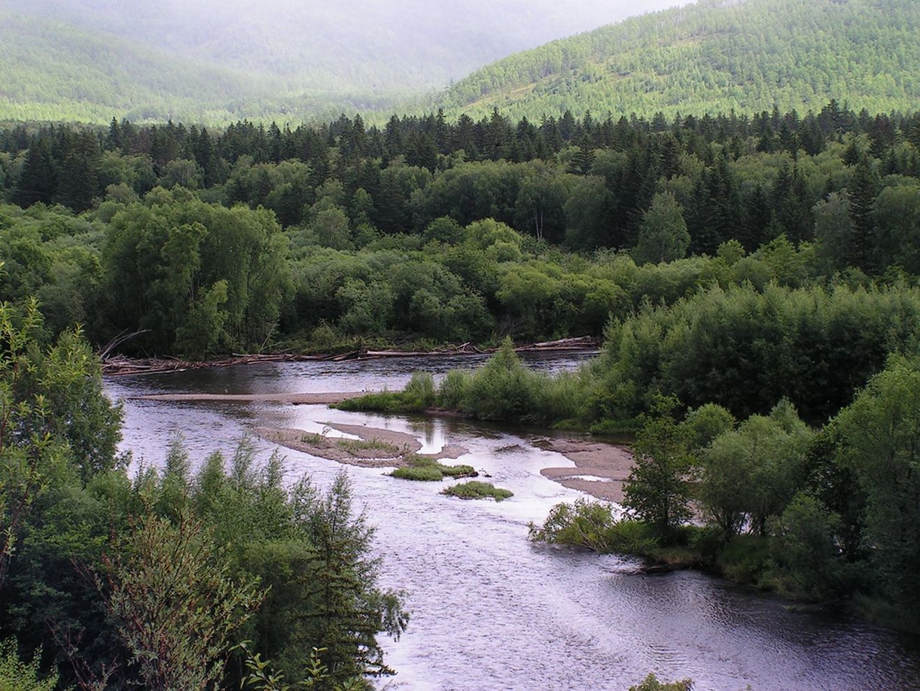 Тумнин, image of landscape/habitat.