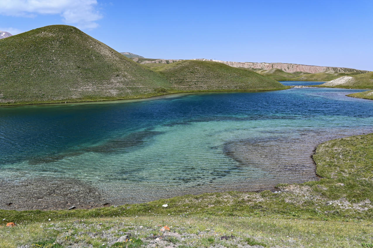 Озеро Тулпар-Кёль, изображение ландшафта.