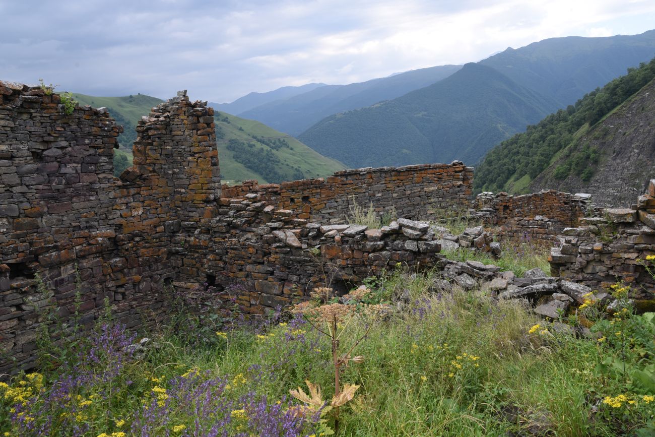 Шикарой и окрестности, image of landscape/habitat.