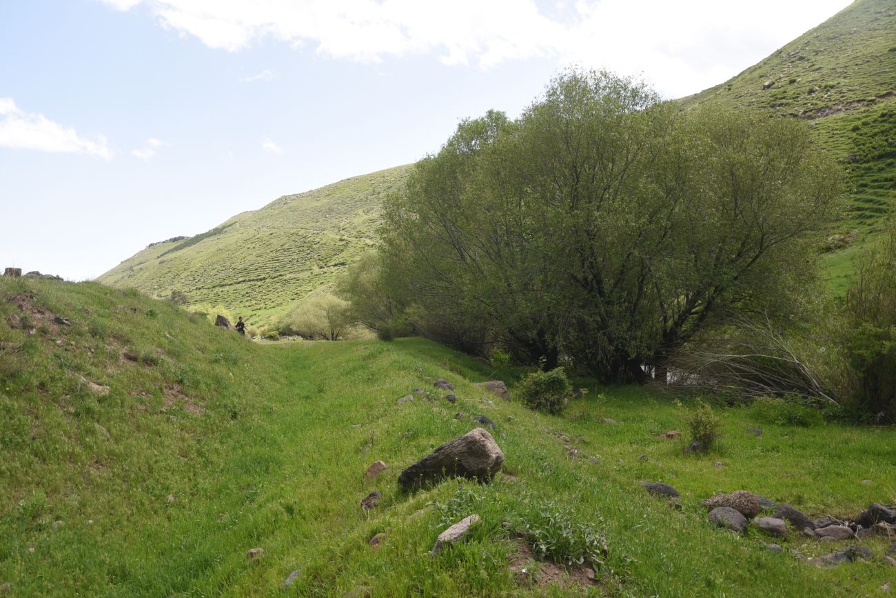 Окрестности монастыря Хцконк, image of landscape/habitat.