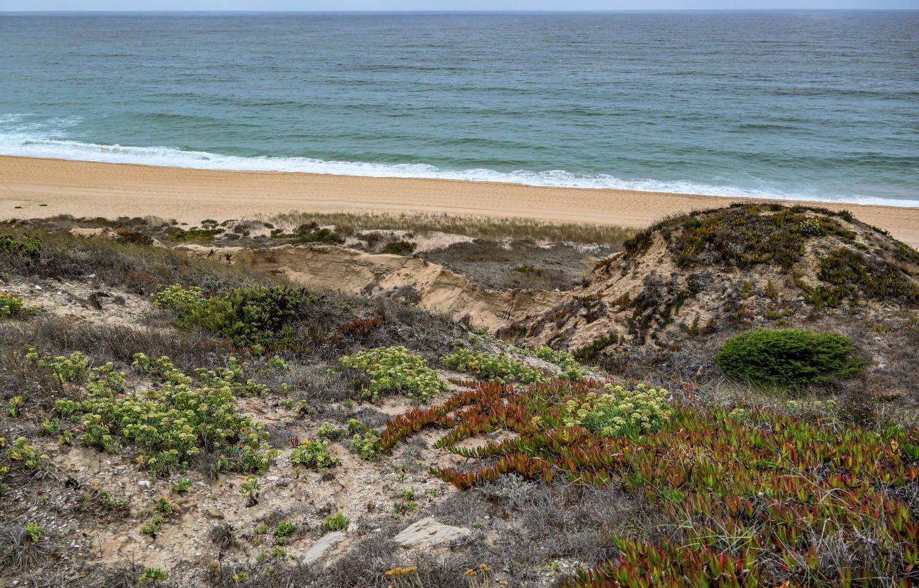 Устье реки Сизандру, изображение ландшафта.