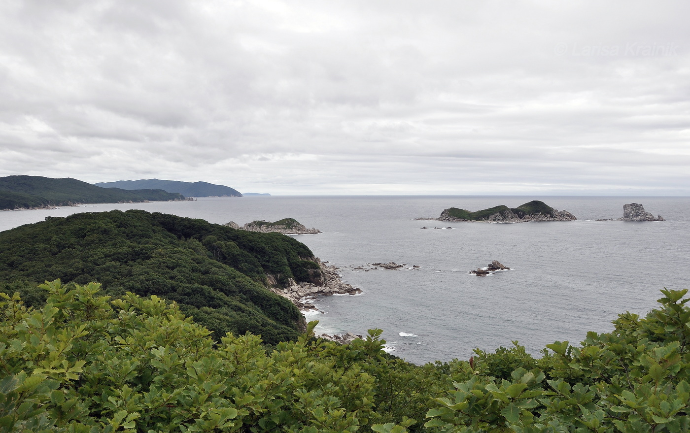 Окрестности бухты Триозерье, image of landscape/habitat.