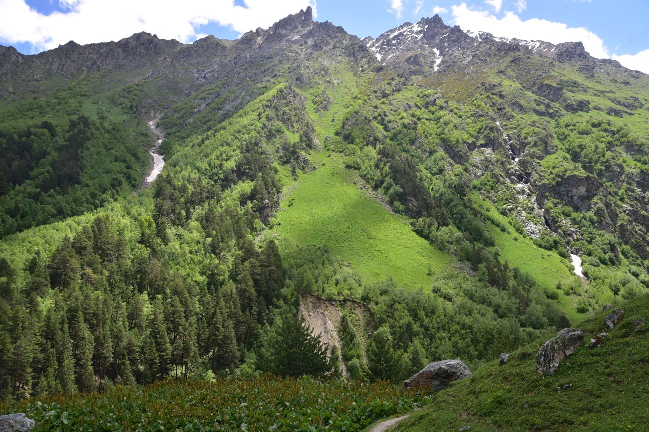 Долина реки Шхельда, image of landscape/habitat.