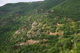 Image of landscape