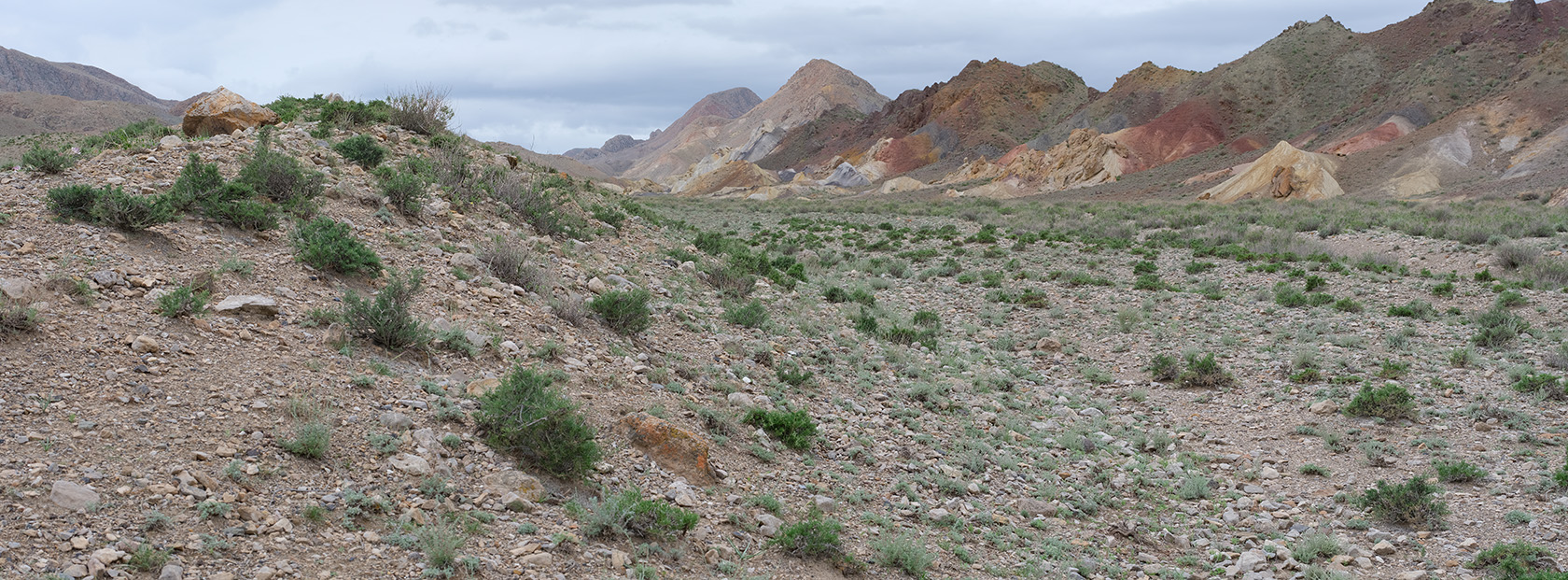 Мадыген, image of landscape/habitat.