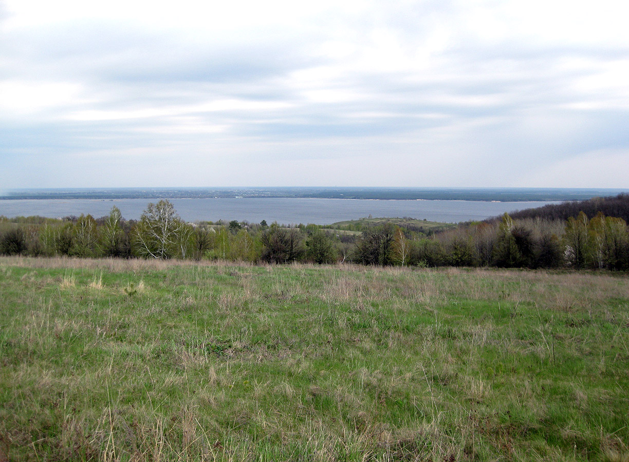 Трахтемиров, image of landscape/habitat.