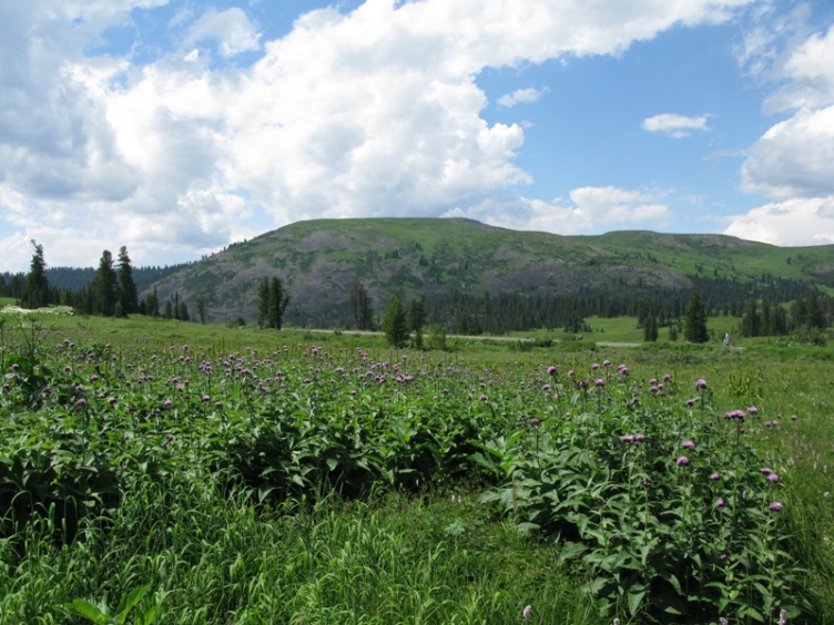 Локаторная гора, изображение ландшафта.