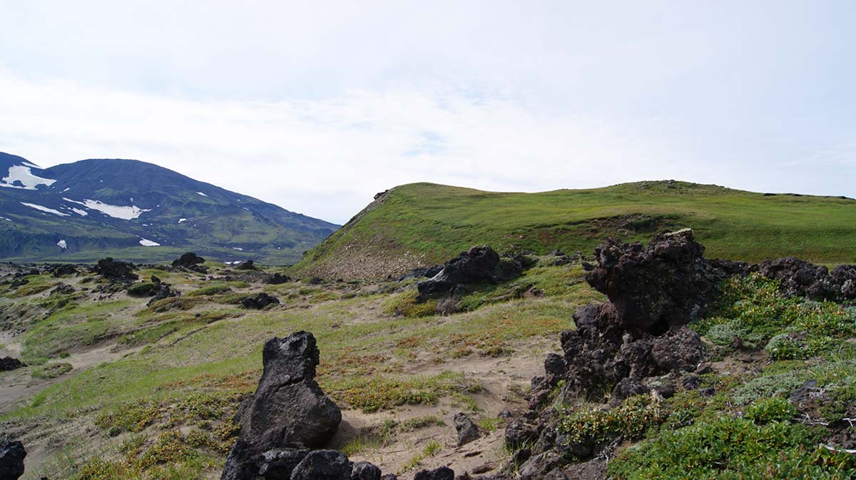 Лавовые пещеры вулкана Горелый, image of landscape/habitat.
