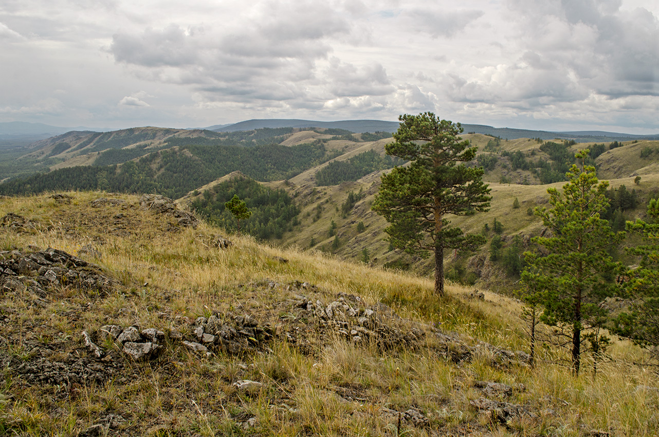 Окрестности деревни Мулдашево, image of landscape/habitat.