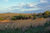 Кордонная балка, image of landscape/habitat.