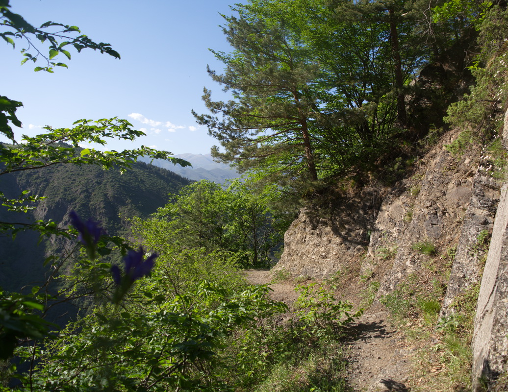 Окрестности села Хрюг, image of landscape/habitat.