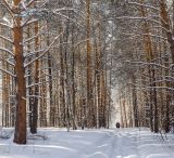 Окрестности Уразово, изображение ландшафта.