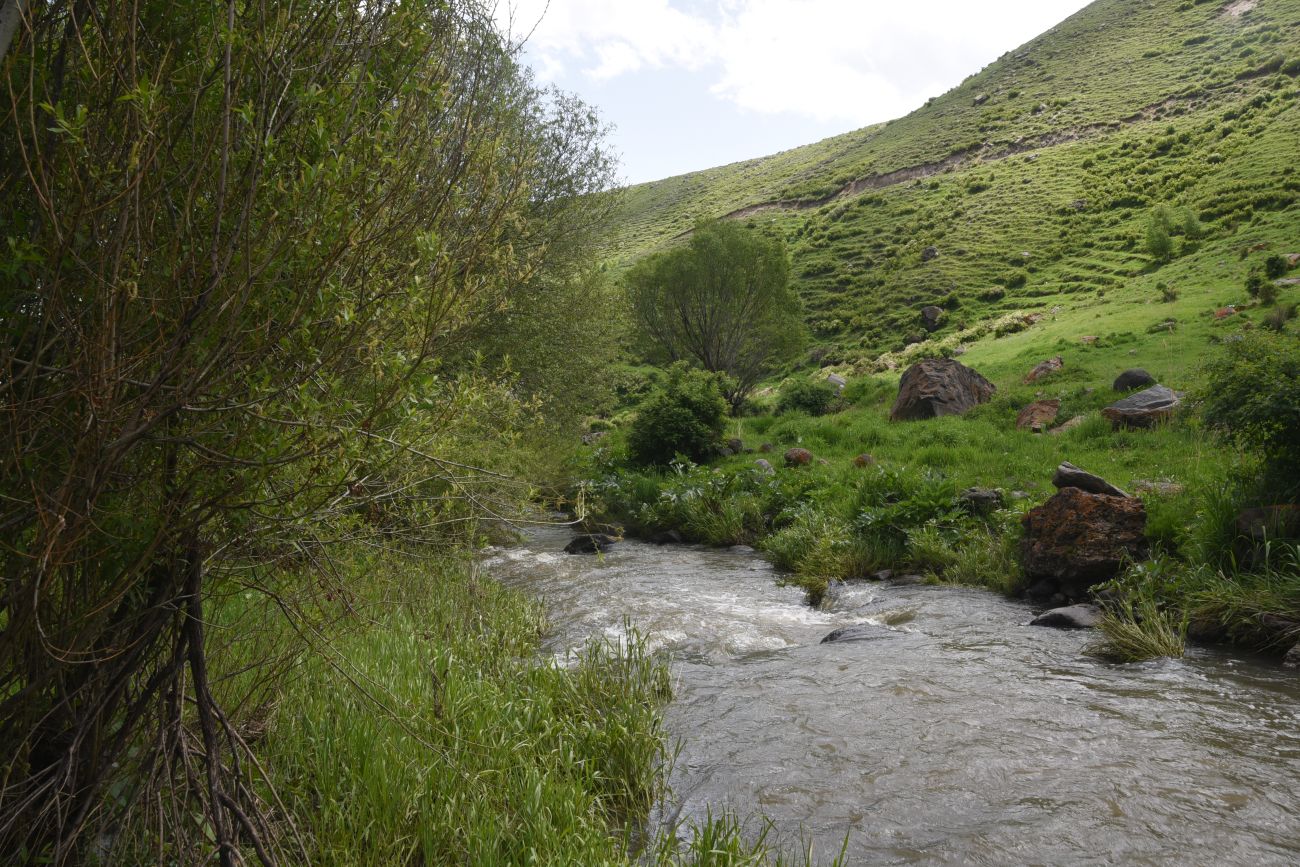 Окрестности монастыря Хцконк, image of landscape/habitat.