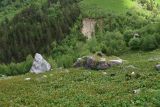 Image of landscape