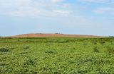 Image of landscape