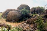 Image of landscape
