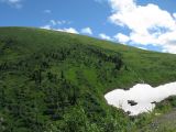 Локаторная гора, image of landscape/habitat.