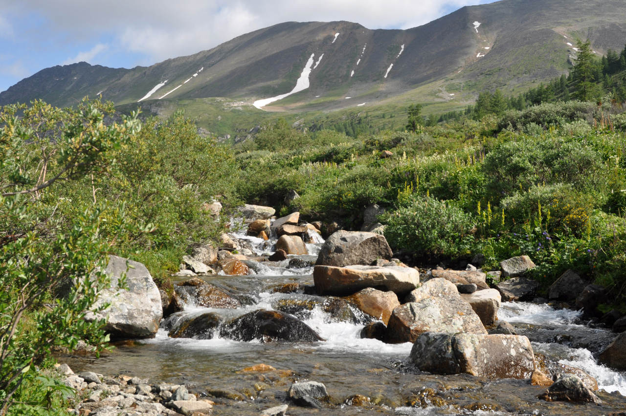 Долина реки Аршан, image of landscape/habitat.