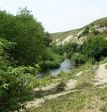 Image of landscape