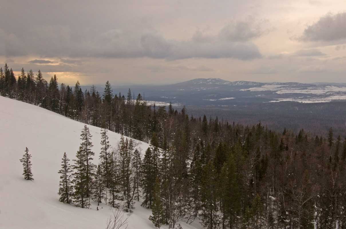 Хребет Большая Сукá, image of landscape/habitat.