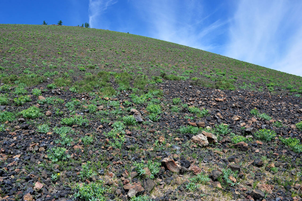 Вулкан Хэрийин, image of landscape/habitat.
