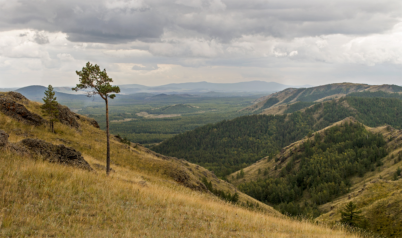 Окрестности деревни Мулдашево, image of landscape/habitat.