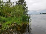 Image of landscape