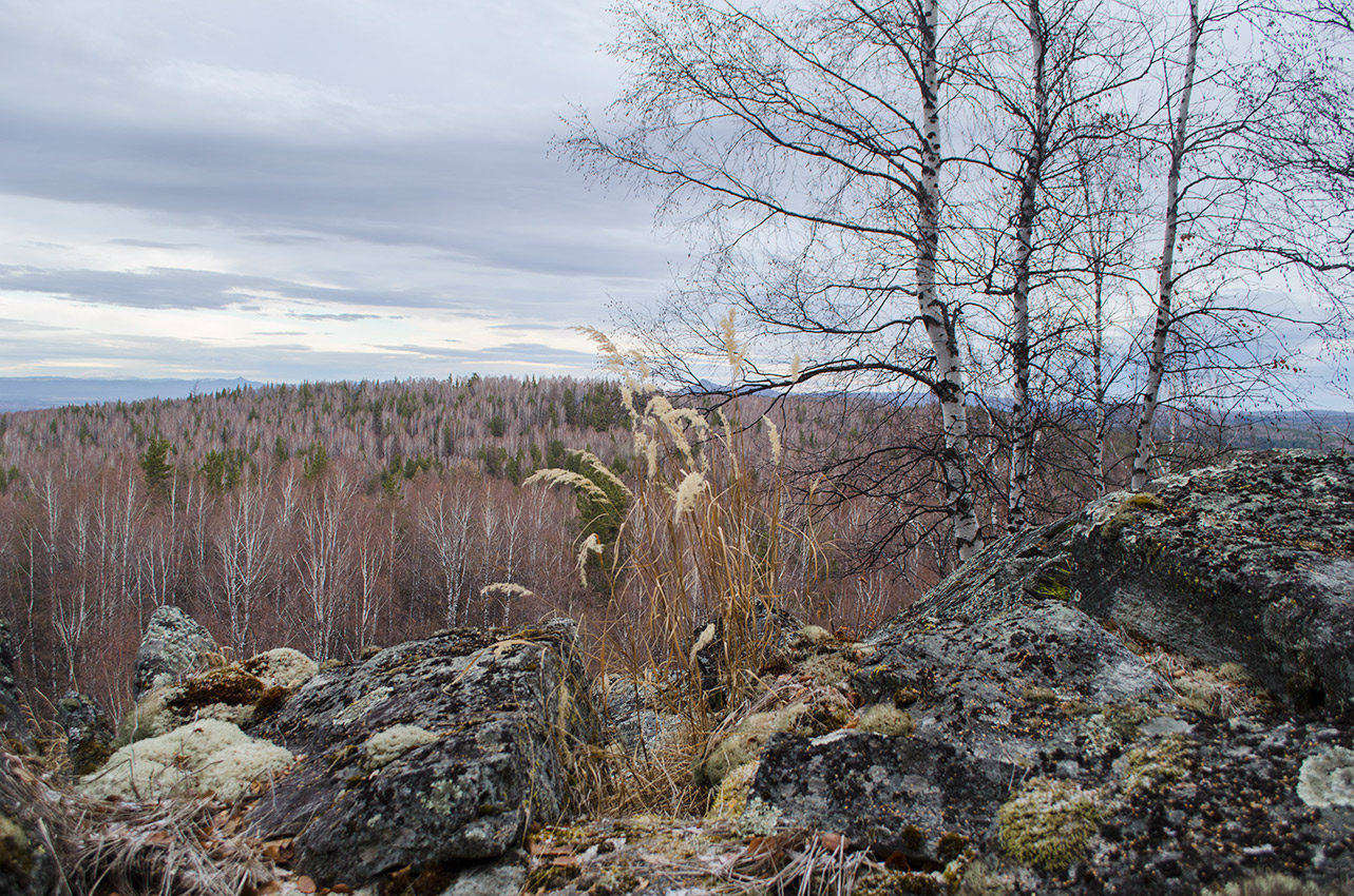 Гора Кагаташ, image of landscape/habitat.