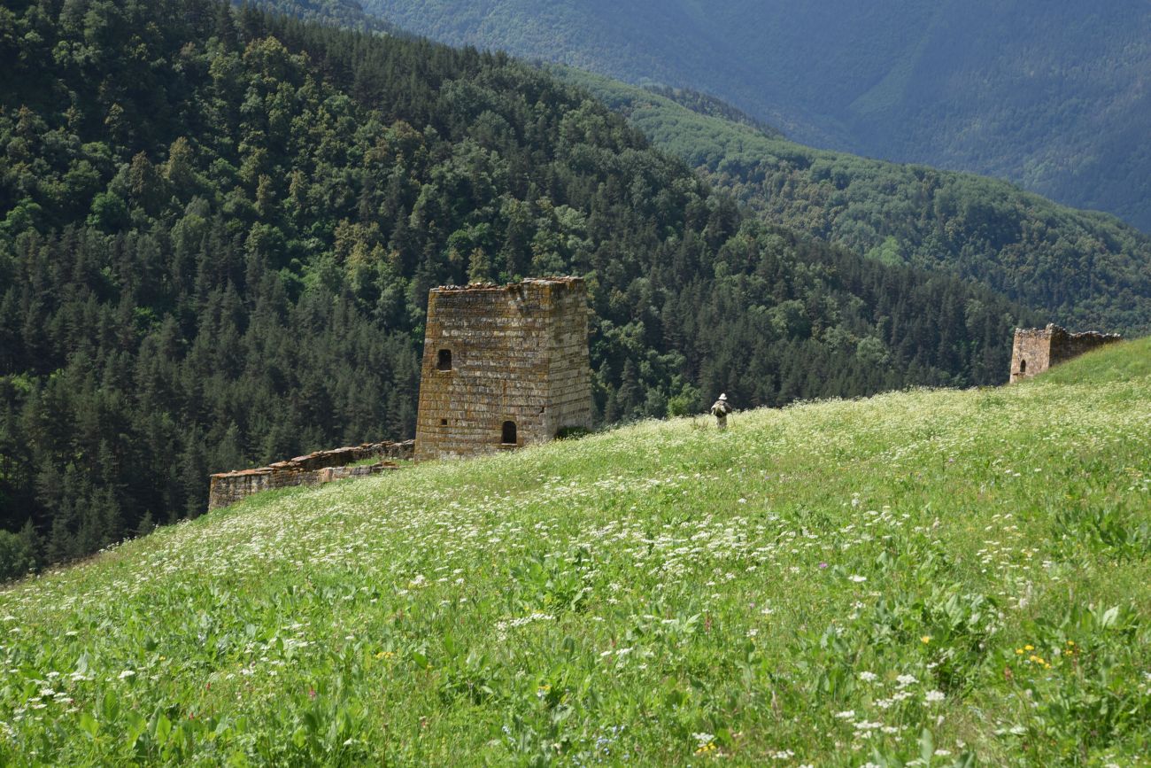 Окрестности урочища Меллер, image of landscape/habitat.
